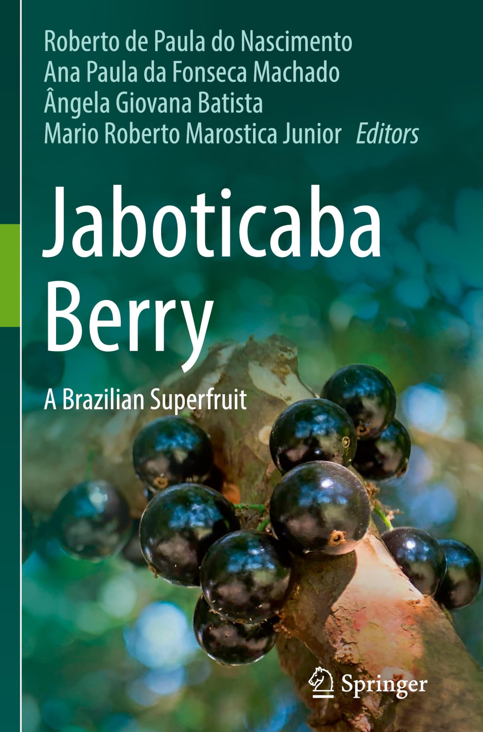 Jaboticaba Berry: A Brazilian Superfruit