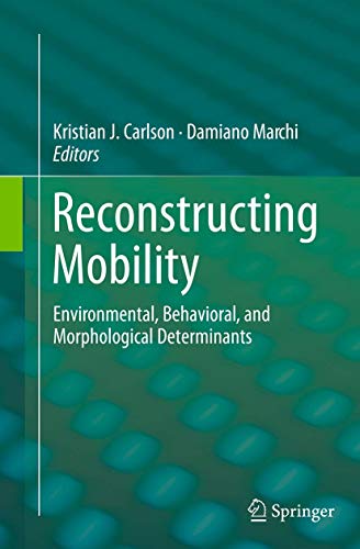 Reconstructing Mobility: Environmental, Behavioral, and Morphological Determinants