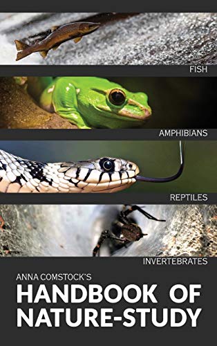The Handbook Of Nature Study in Color - Fish, Reptiles, Amphibians, Invertebrates