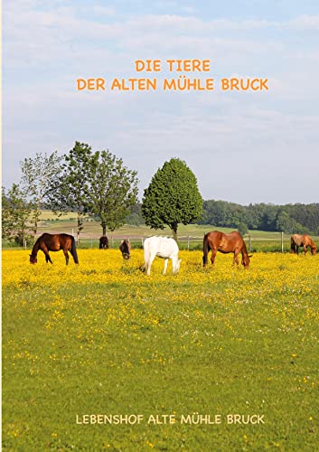 Wie kommt das Pony auf den Gnadenbrothof?: 34 kleine Lebensgeschichten der wunderbaren Tieren vom Ponyhof Alte Mühle Bruck