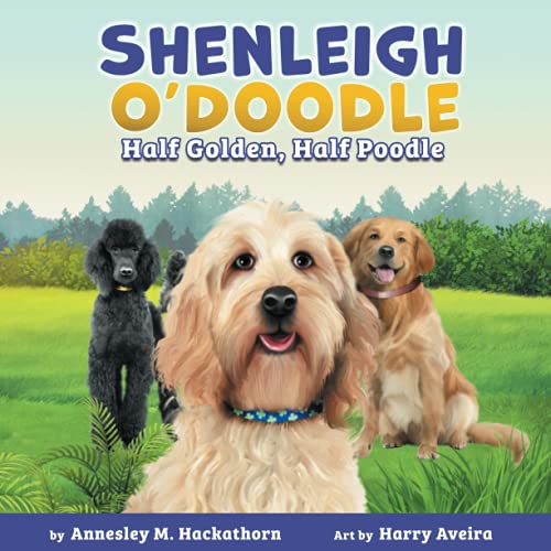 Shenleigh o'Doodle, Half Golden, Half Poodle