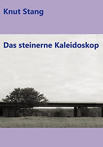 Das steinerne Kaleidoskop: Diese langen Jahre: Erzählungen 1990-2020, Bd. 3