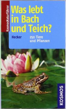 Was lebt in Bach und Teich?: 250 Tiere und Pflanzen