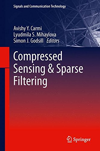 Compressed Sensing & Sparse Filtering (Signals and Communication Technology)