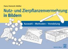 Nutz- und Zierpflanzenvermehrung in Bildern: Auswahl - Methoden - Veredelung