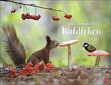 Vadim Trunov: Märchenhaftes Waldleben Posterkalender 2022