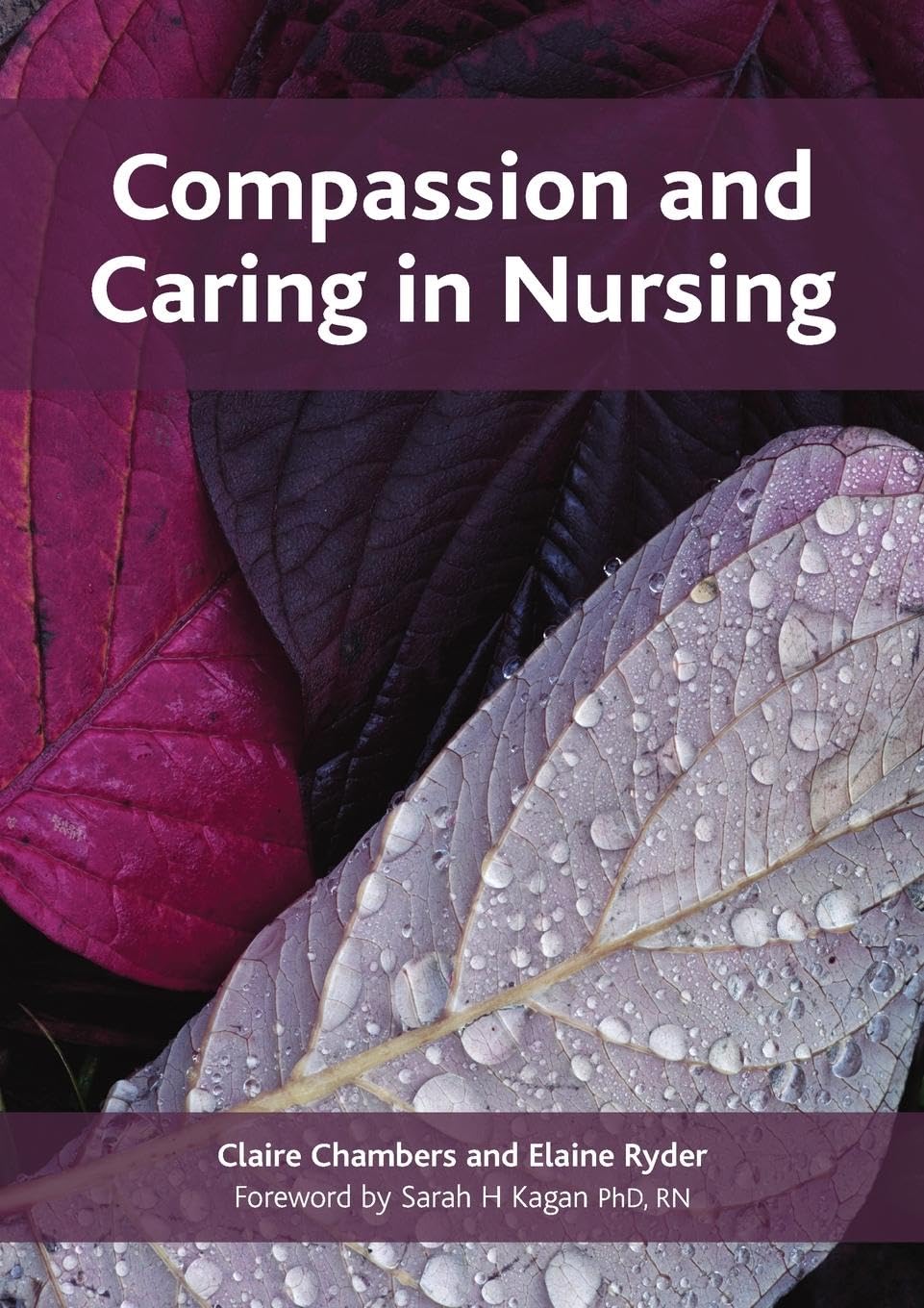 Claire Chambers Compassion And Caring In Nursing