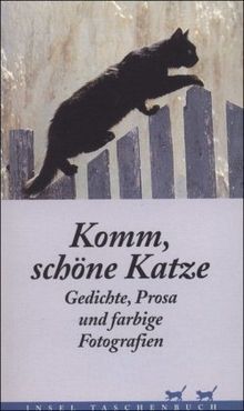 Komm, schöne Katze: Gedichte, Prosa und farbige Fotografien (insel taschenbuch)