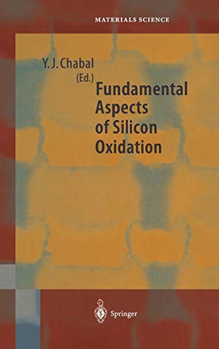 Fundamental Aspects of Silicon Oxidation (Springer Series in Materials Science, 46, Band 46)