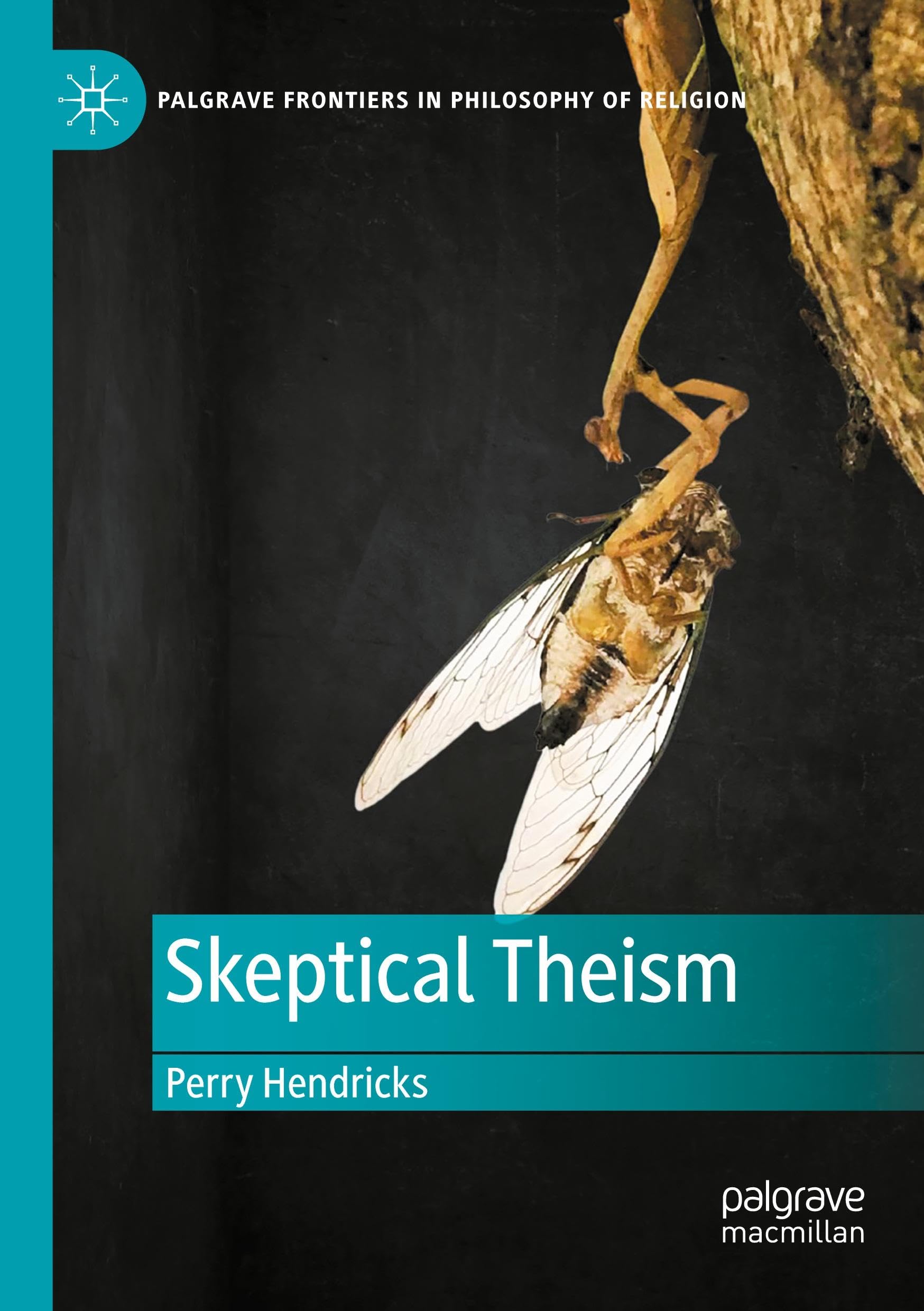 Skeptical Theism (Palgrave Frontiers in Philosophy of Religion)