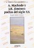 Antonio Machado y Juan Ramón Jiménez : poetas del siglo XX (Literatura - Biblioteca Básica De Literatura - Serie «General»)