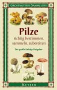 Pilze richtig bestimmen, sammeln, zubereiten. Der große farbige Ratgeber
