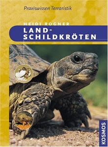 Landschildkröten