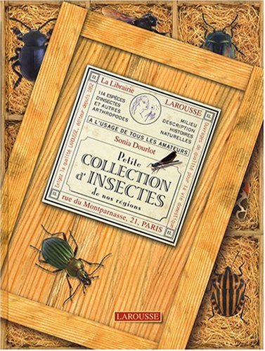 Petite collection d'insectes de nos r&eacute;gions
