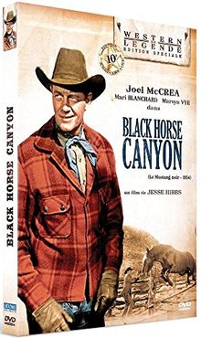 Black Horse Canyon (Le défilé sauvage) [Édition Spéciale] von Jesse Hibbs | DVD | Zustand sehr gut