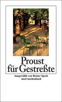 Proust für Gestreßte (insel taschenbuch)