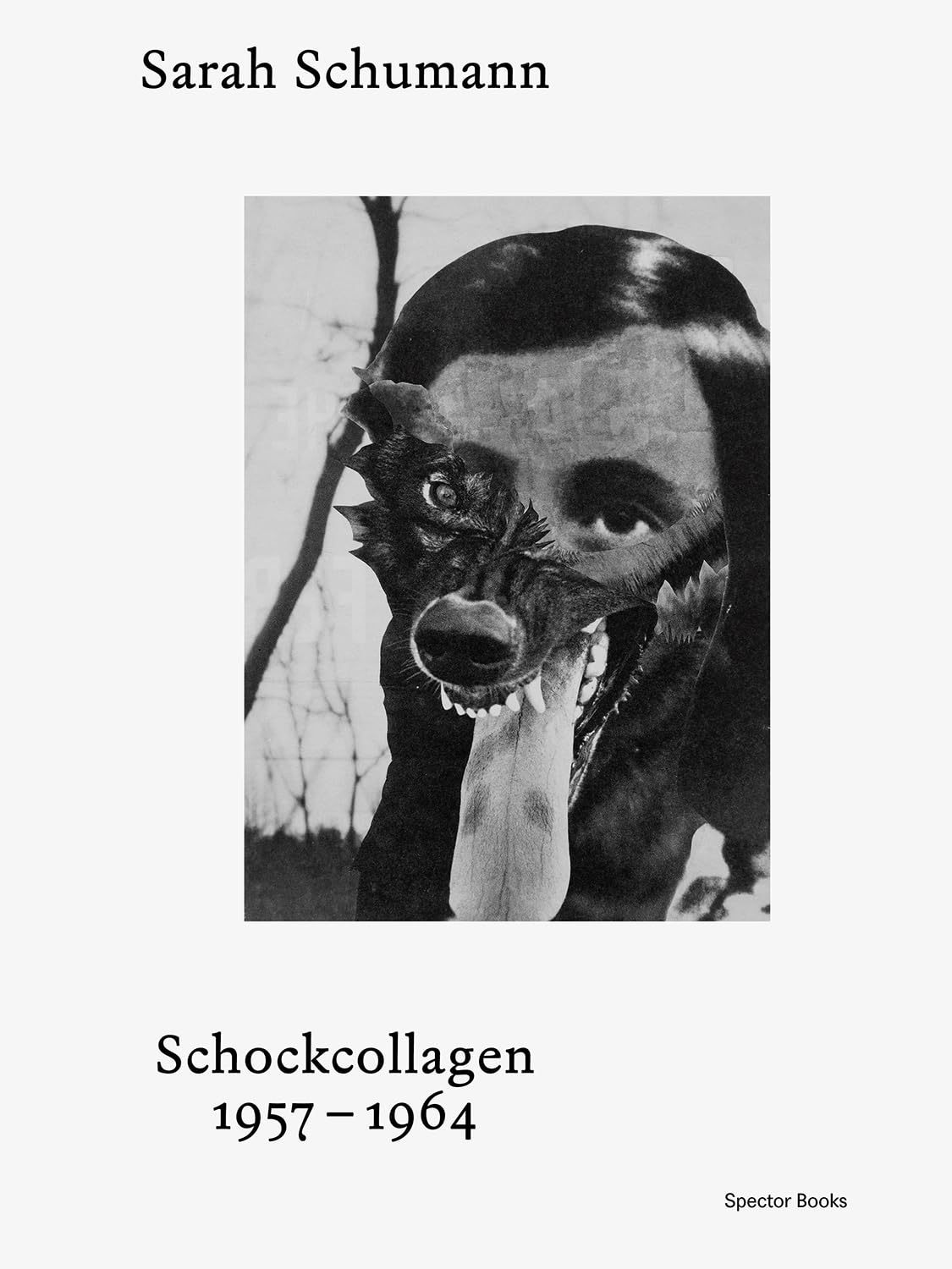 Sarah Schumann Schockcollagen 1954–1964