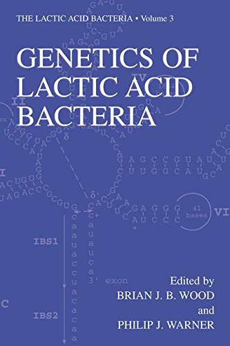 Genetics of Lactic Acid Bacteria (The Lactic Acid Bacteria, Band 3)