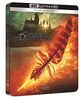 Les animaux fantastiques 3 : les secrets de dumbledore 4k ultra hd [Blu-ray] 