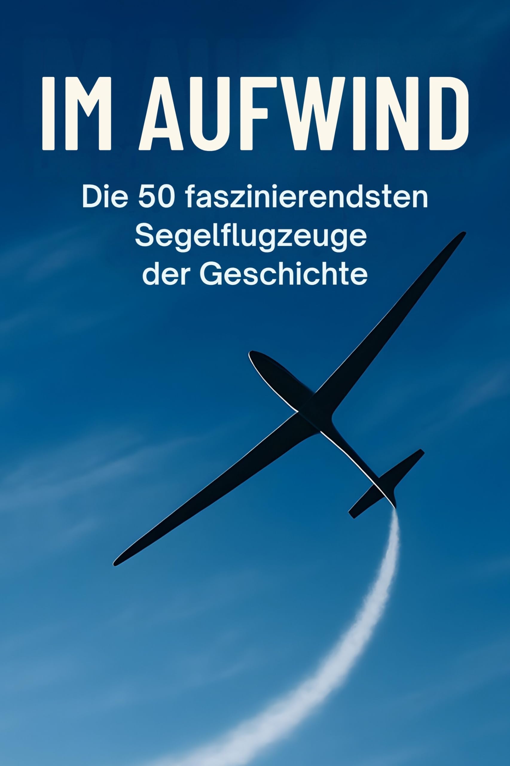Im Aufwind: Die 50 faszinierendsten Segelflugzeuge der Geschichte