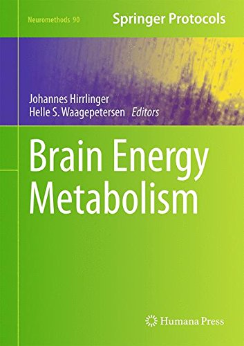 Brain Energy Metabolism (Neuromethods)