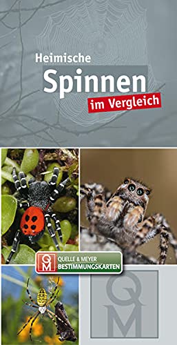 Heimische Spinnen: im Vergleich (Quelle & Meyer Bestimmungskarten)