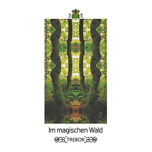 Im magischen Wald (Tore in die Wunderwelt)