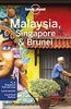 Malaysia, Singapore & Brunei (Lonely Planet Travel Guide)