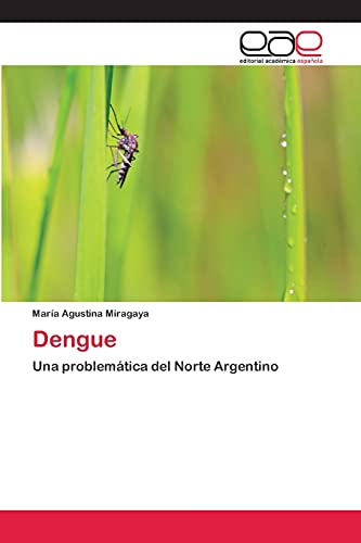 Dengue: Una problemática del Norte Argentino