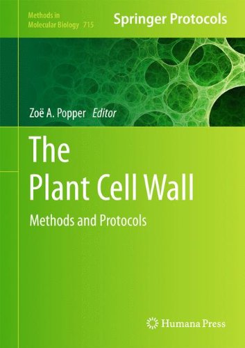 The Plant Cell Wall: Methods and Protocols (Methods in Molecular Biology)