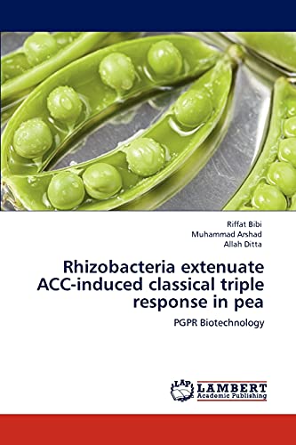 Rhizobacteria extenuate ACC-induced classical triple response in pea: PGPR Biotechnology