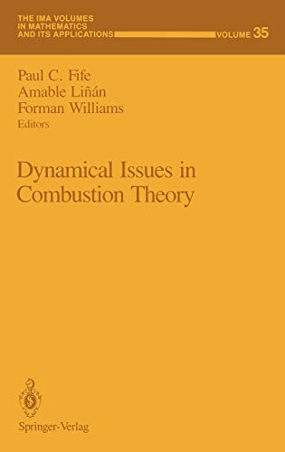 Dynamical Issues in Combustion Theory (The IMA Volumes in Mathematics and its Applications, 35, Band 35)