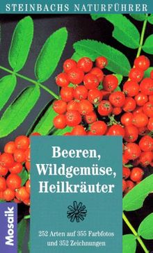 Steinbachs Naturführer Beeren, Wildgemüse, Heilkräuter. 252 Arten