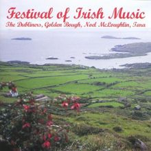 Festival of Irish Music, Vol. 1 von Various  | CD | Zustand sehr gut