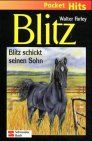 Blitz, Pocket Hits, Bd.3, Blitz schickt seinen Sohn