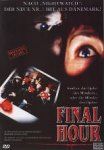 Final Hour von Martin Schmidt  | DVD | Zustand sehr gut