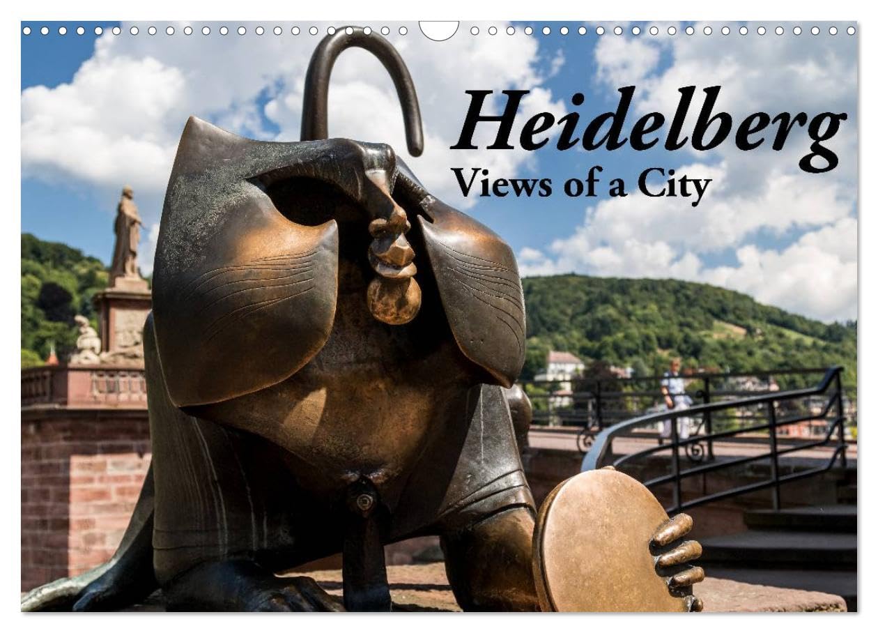 Heidelberg - Views of a City (Wall Calendar 2026 DIN A3 landscape), CALVENDO 12 Month Wall Calendar: Views of the romantic city at the river Neckar
