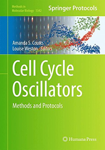Cell Cycle Oscillators: Methods and Protocols (Methods in Molecular Biology)
