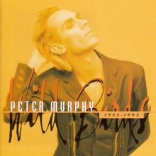 Wild Birds de Murphy,Peter | CD | état bon