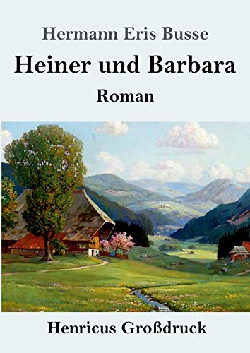 Heiner und Barbara (Großdruck): Roman