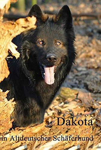 Dakota: ein altdeutscher Schäferhund