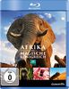 Afrika - Das magische Königreich [Blu-ray]