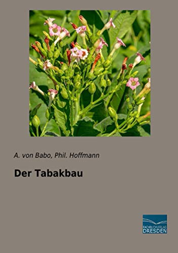 Der Tabakbau