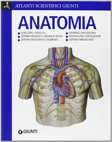 Anatomia