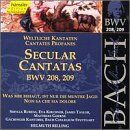 Secular Cantatas-Vol. 65