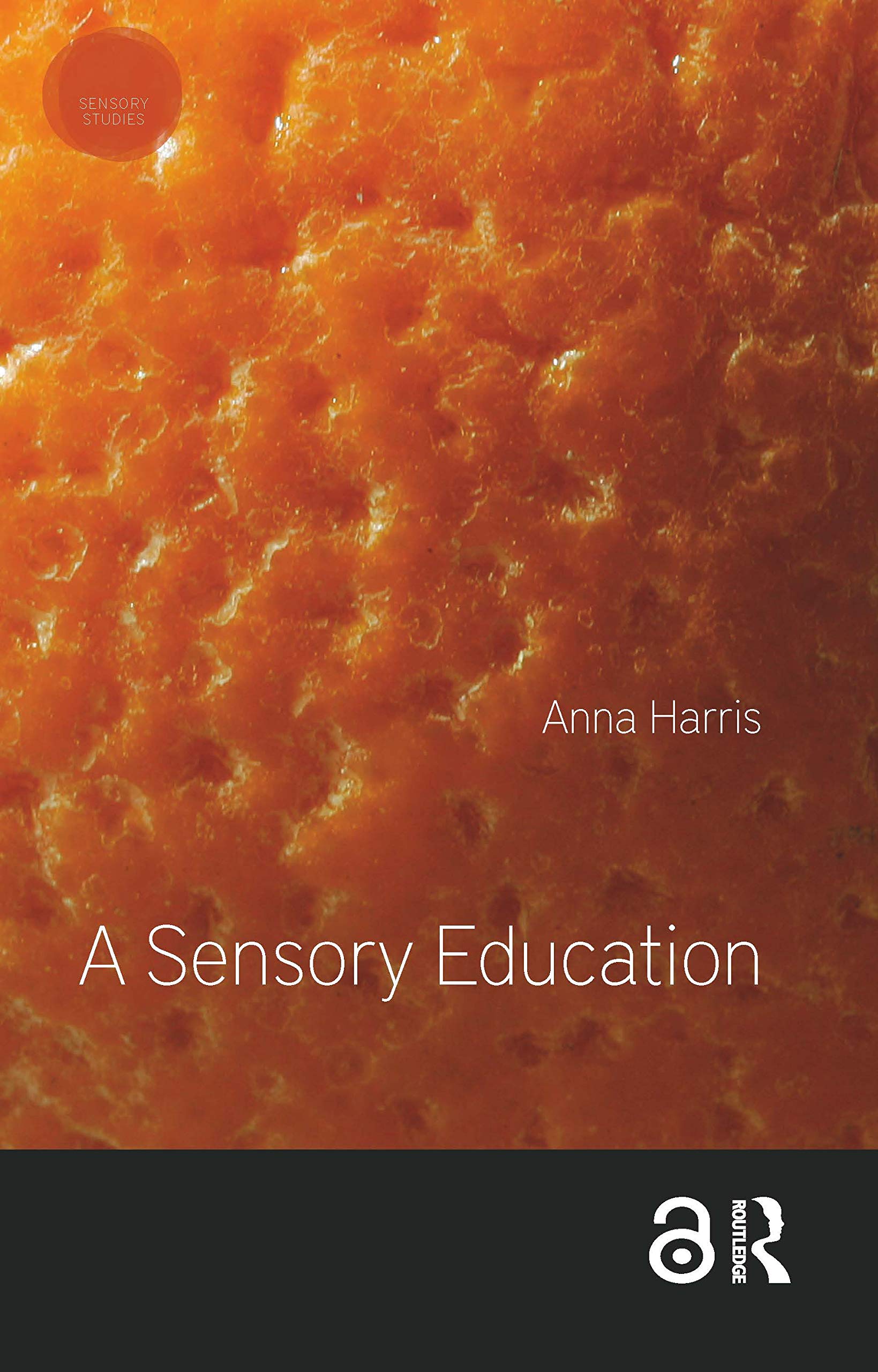 A Sensory Education (Sensory Studies Series)