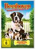 Beethoven Komplettbox [8 DVDs]