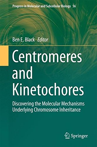 Centromeres and Kinetochores: Discovering the Molecular Mechanisms Underlying Chromosome Inheritance (Progress in Molecular and Subcellular Biology)