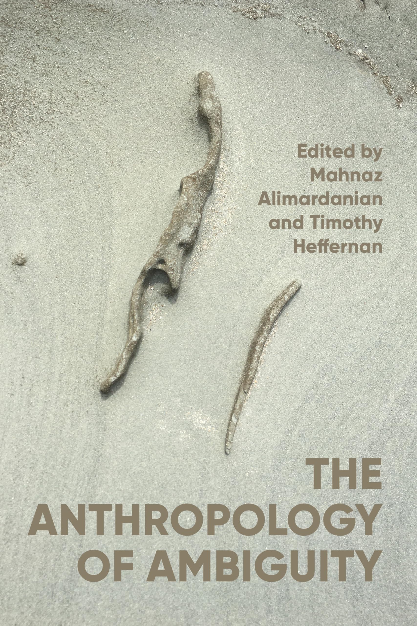 The anthropology of ambiguity: Theory, Praxis and Critique