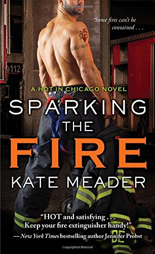 Sparking the Fire (Hot in Chicago)